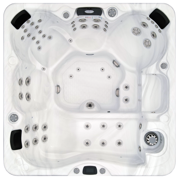 Avalon-X EC-867LX hot tubs for sale in Bethany Beach