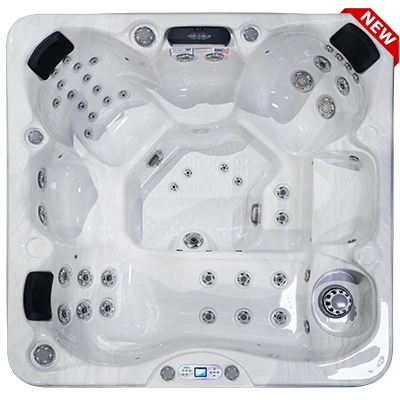 Costa EC-749L hot tubs for sale in Bethany Beach
