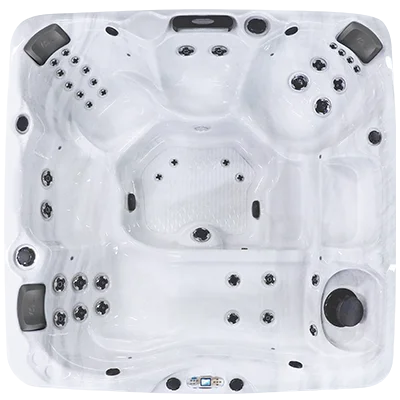 Avalon EC-840L hot tubs for sale in Bethany Beach