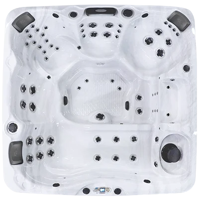 Avalon EC-867L hot tubs for sale in Bethany Beach