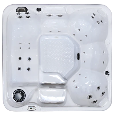 Hawaiian PZ-636L hot tubs for sale in Bethany Beach